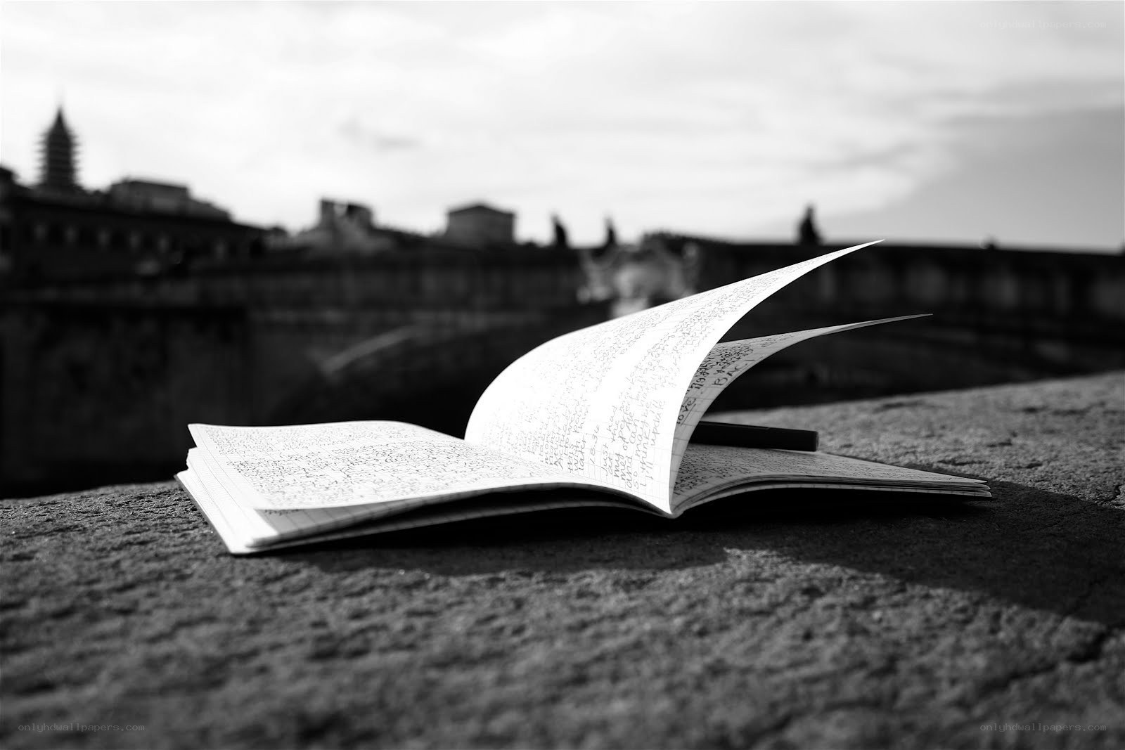 Open notebook on stone ledge