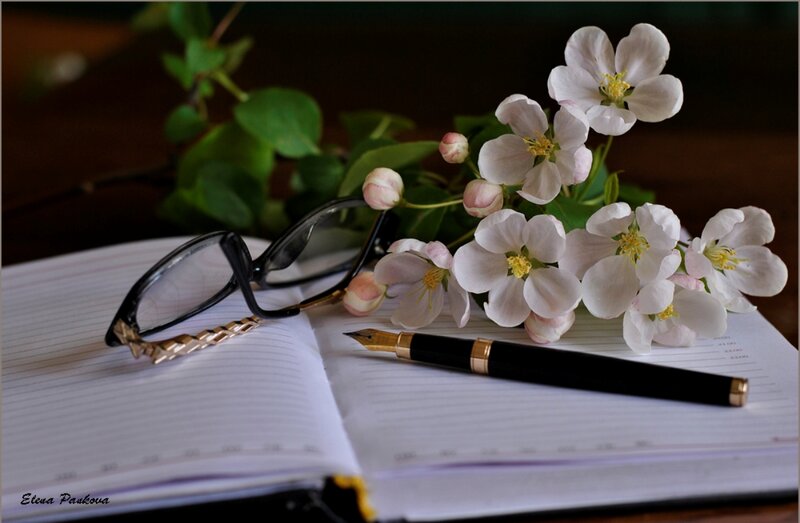 Open Notebook with Flowers