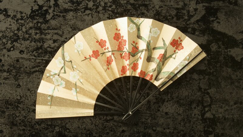 Open Paper Fan