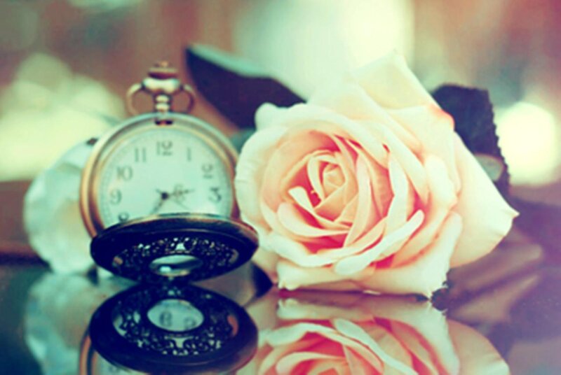 Open Pocket Watch and Rose