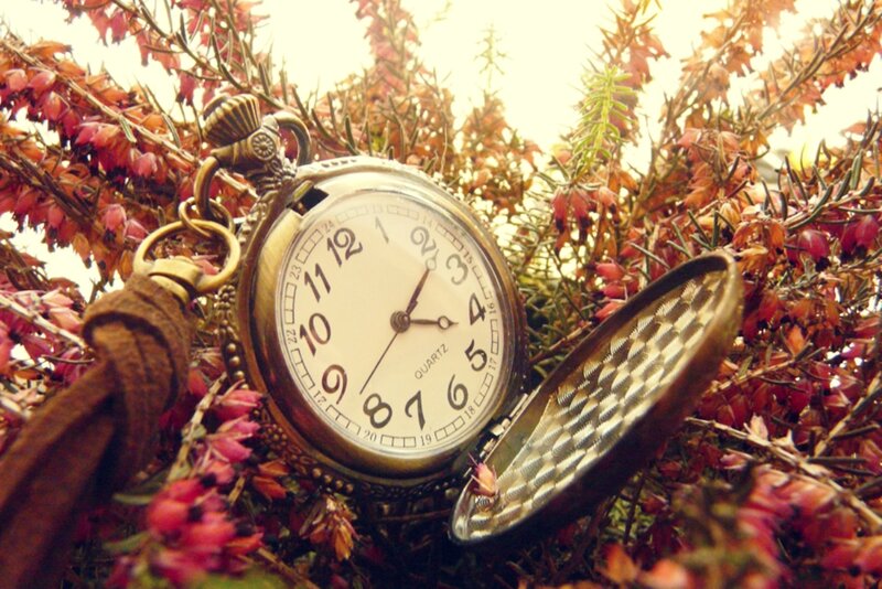 Open Pocket Watch — Brown, Serene, Autumn, Photograph