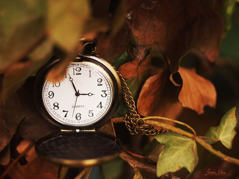 Open Pocket Watch — Brown, Serene, Autumn