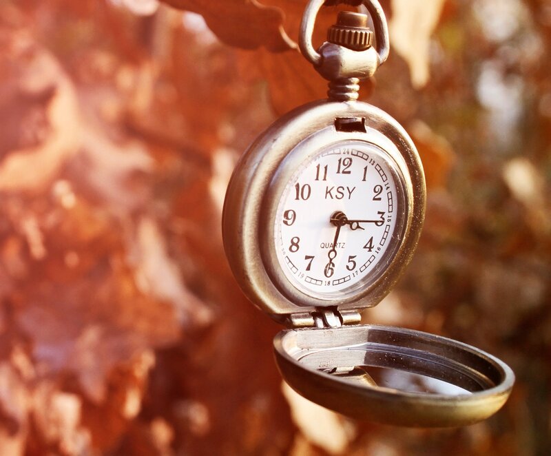 Open Pocket Watch — Brown, Serene
