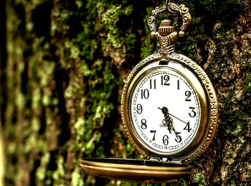 Open Pocket Watch — Green, Serene, Photograph