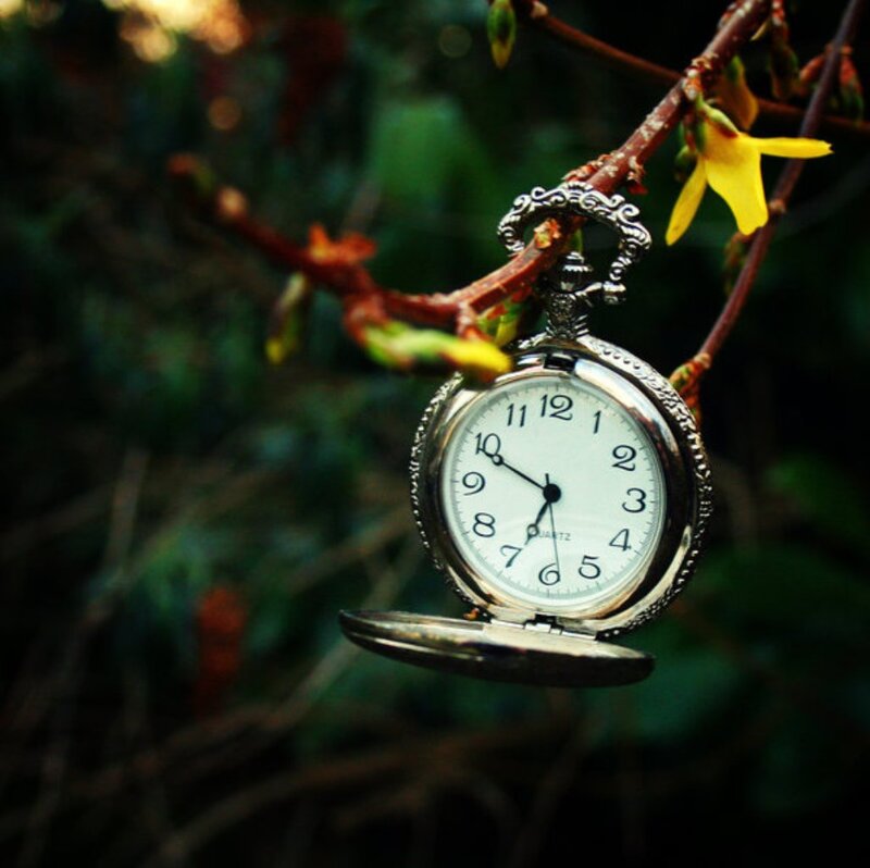 Open Pocket Watch — Green, Serene