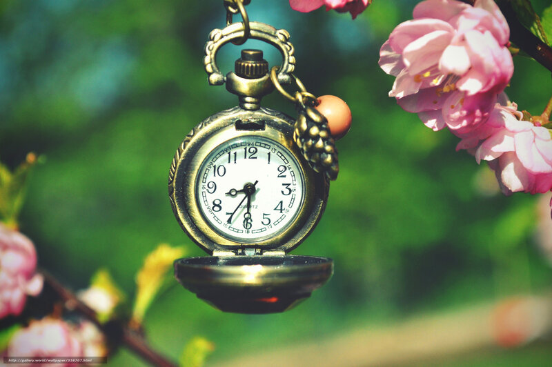 Open Pocket Watch — Pink, Serene, Spring, Photograph, Flowers