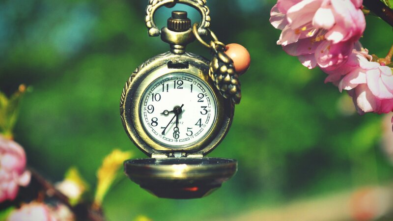 Open Pocket Watch — Pink, Serene, Spring, Photograph