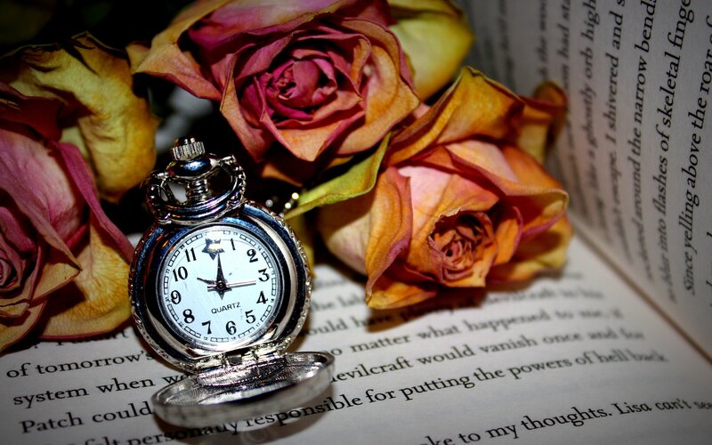 Open Pocket Watch — White, Melancholic