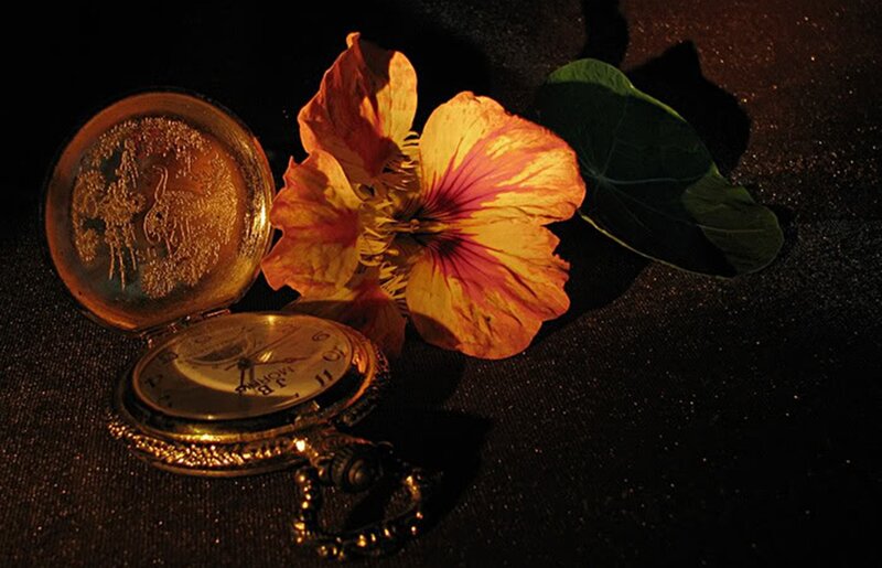 Open Pocket Watch with Flower