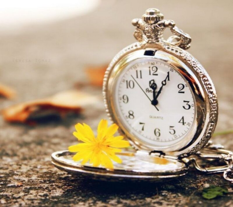 Open Pocket Watch — Yellow
