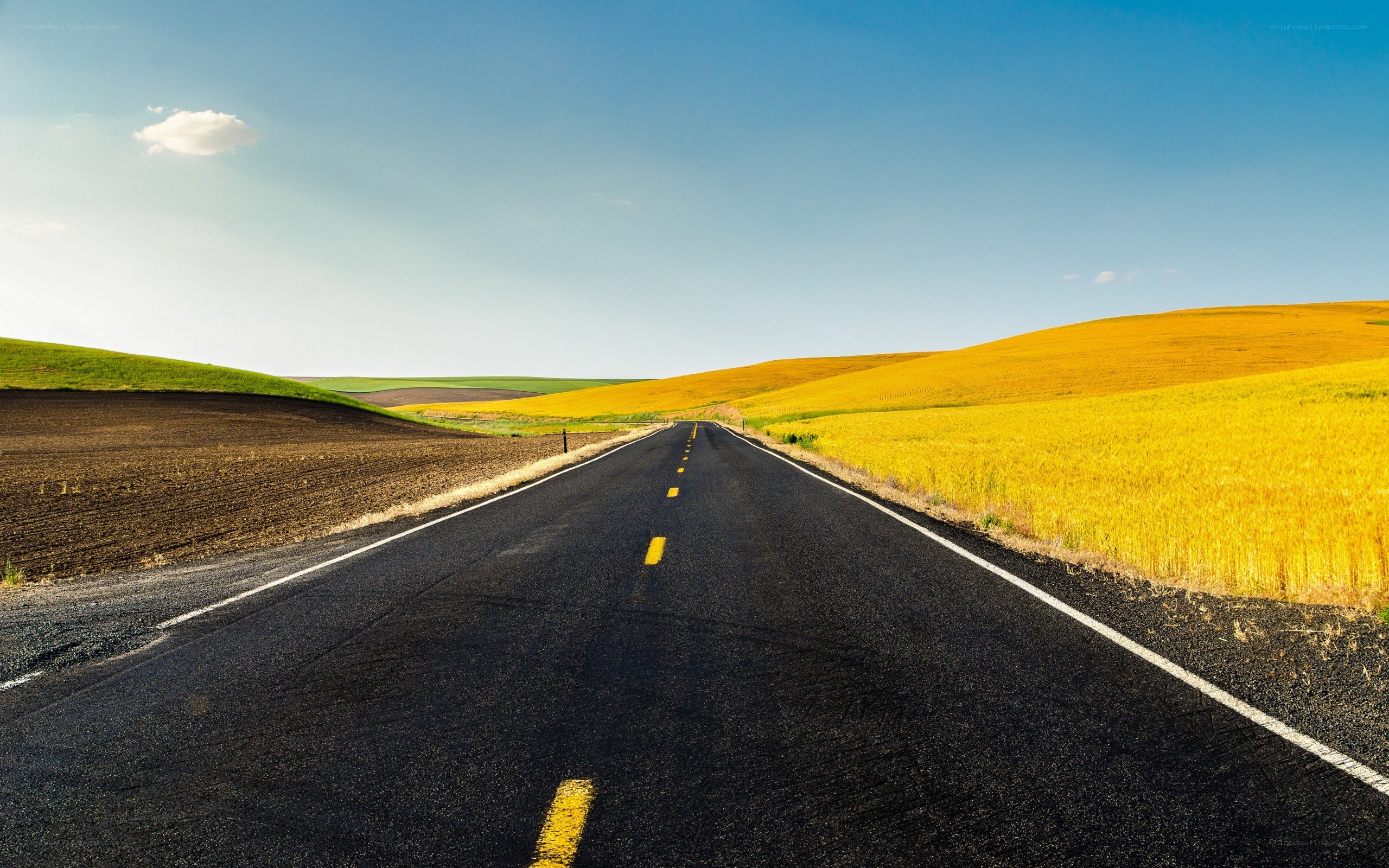 Open road through golden fields