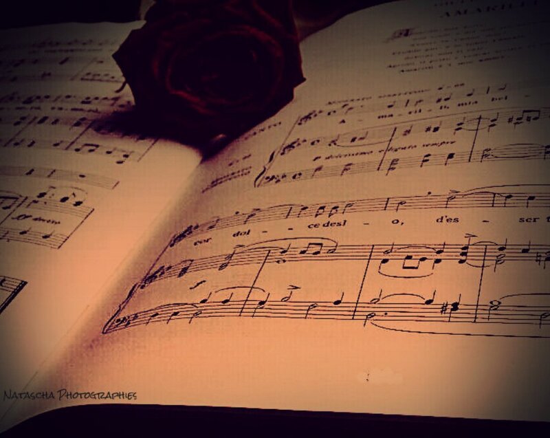 Open Sheet Music Book — Brown