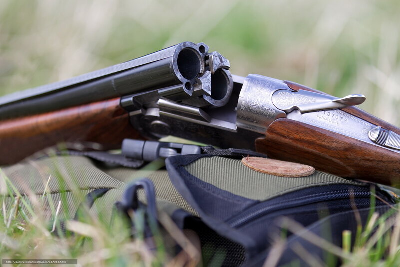 Open shotgun on grass