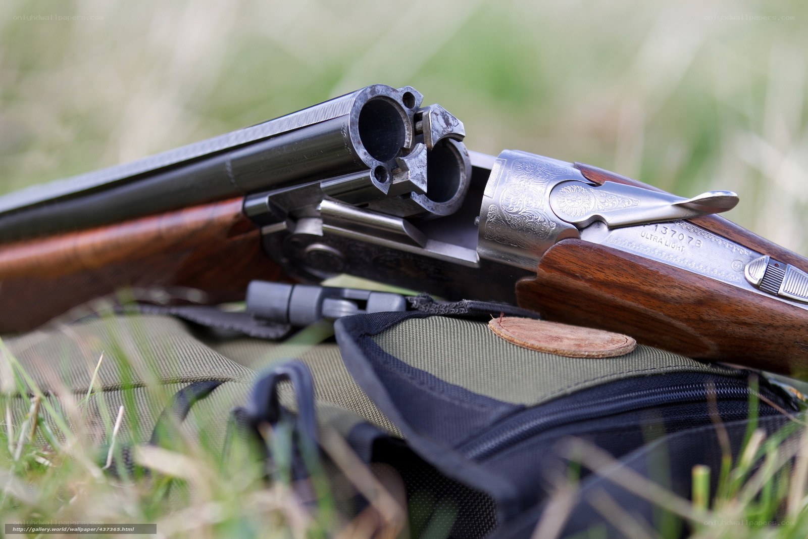 Open shotgun on grass
