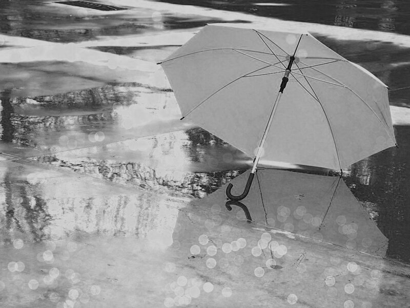 Open Umbrella in Rain