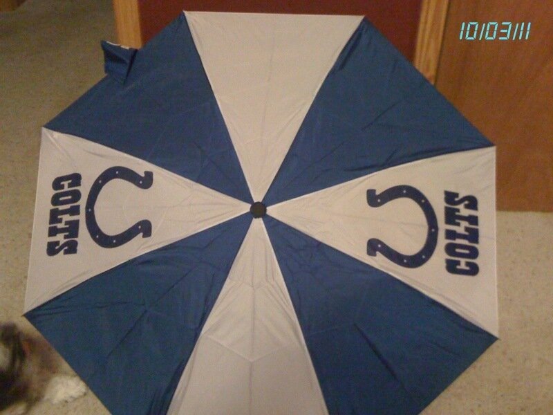 Open Umbrella with Logo