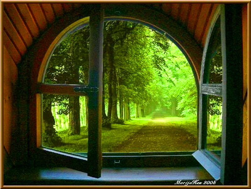 Open Window to Forest Path