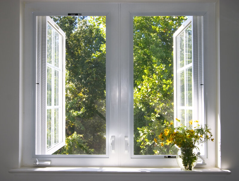 Open window with flowers