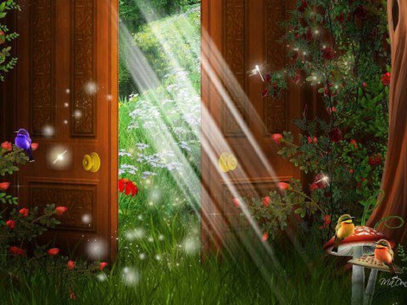 Open Wooden Doors in Garden