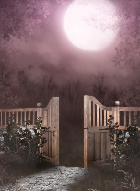 Open Wooden Gate — Purple, Mysterious