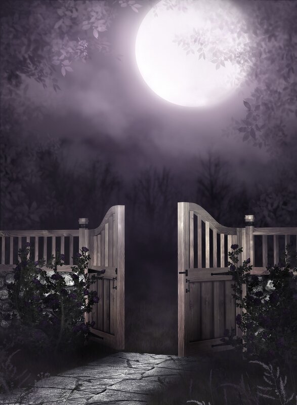 Open Wooden Gate — Purple