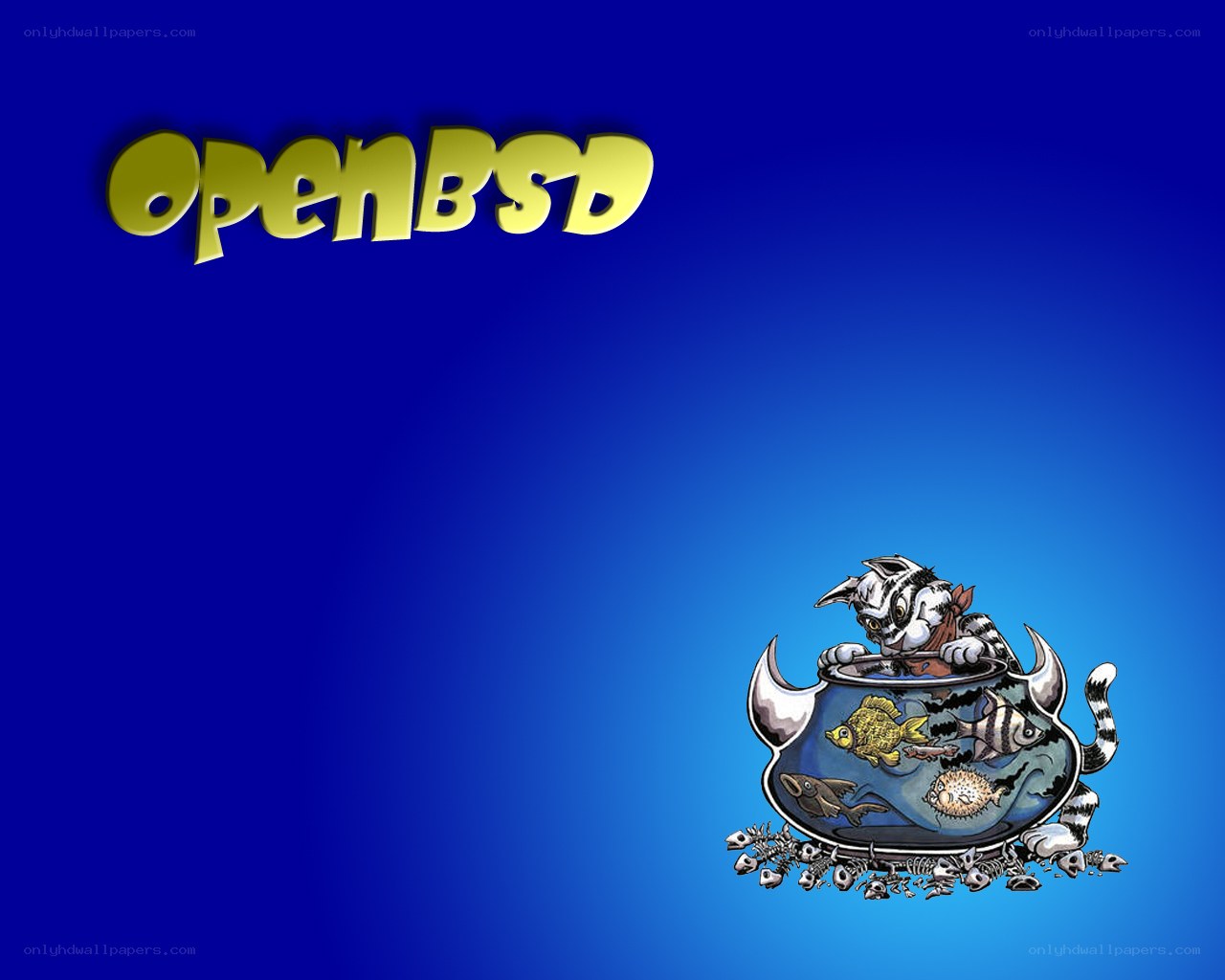 OpenBSD cat in fishbowl