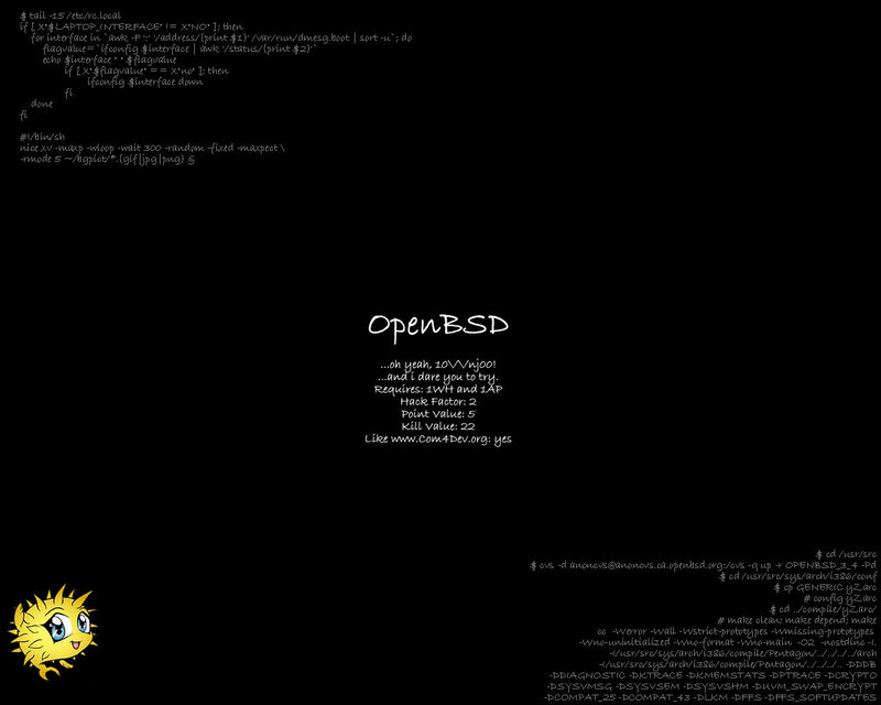 OpenBSD system information
