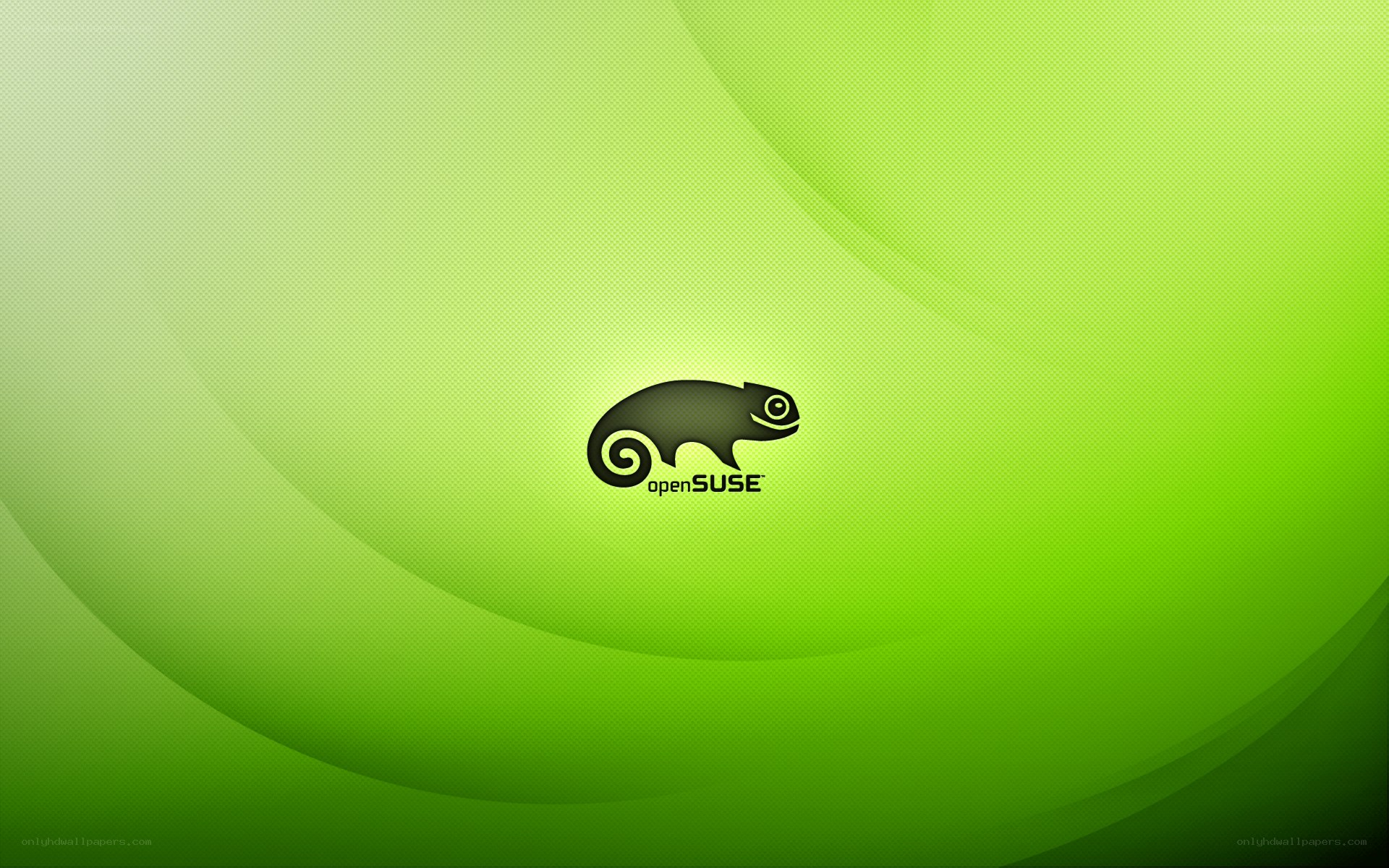 openSUSE logo on green background