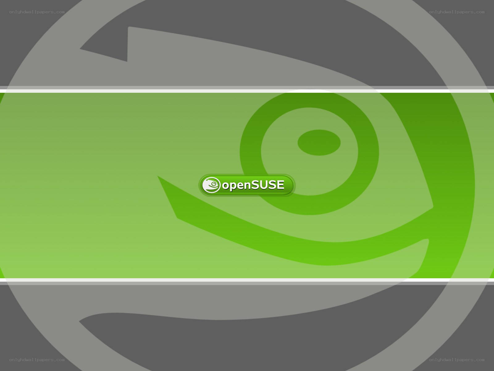 openSUSE logo on green background