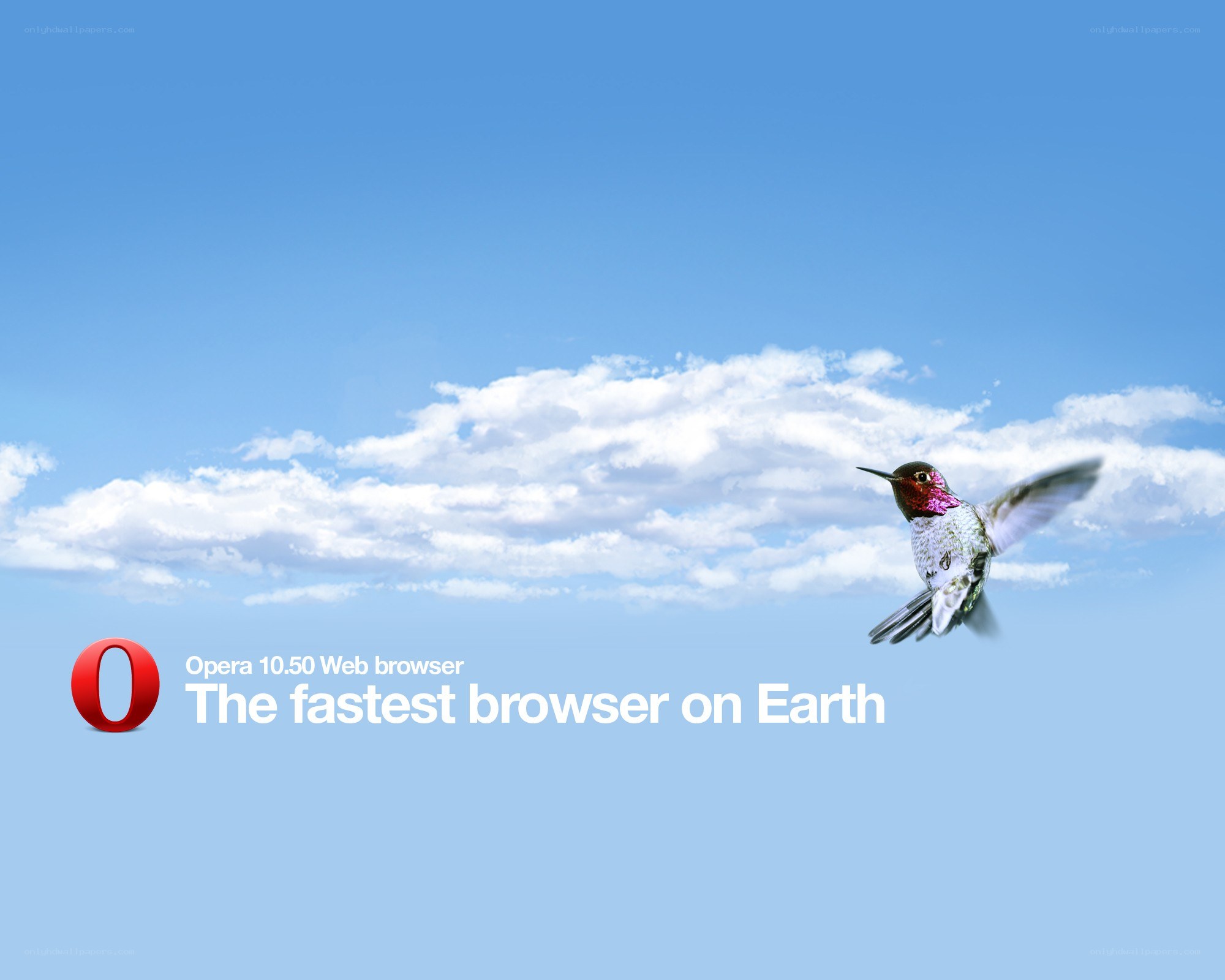 Opera browser ad with hummingbird