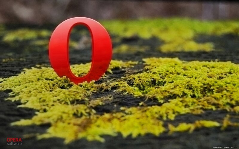 Opera logo on moss