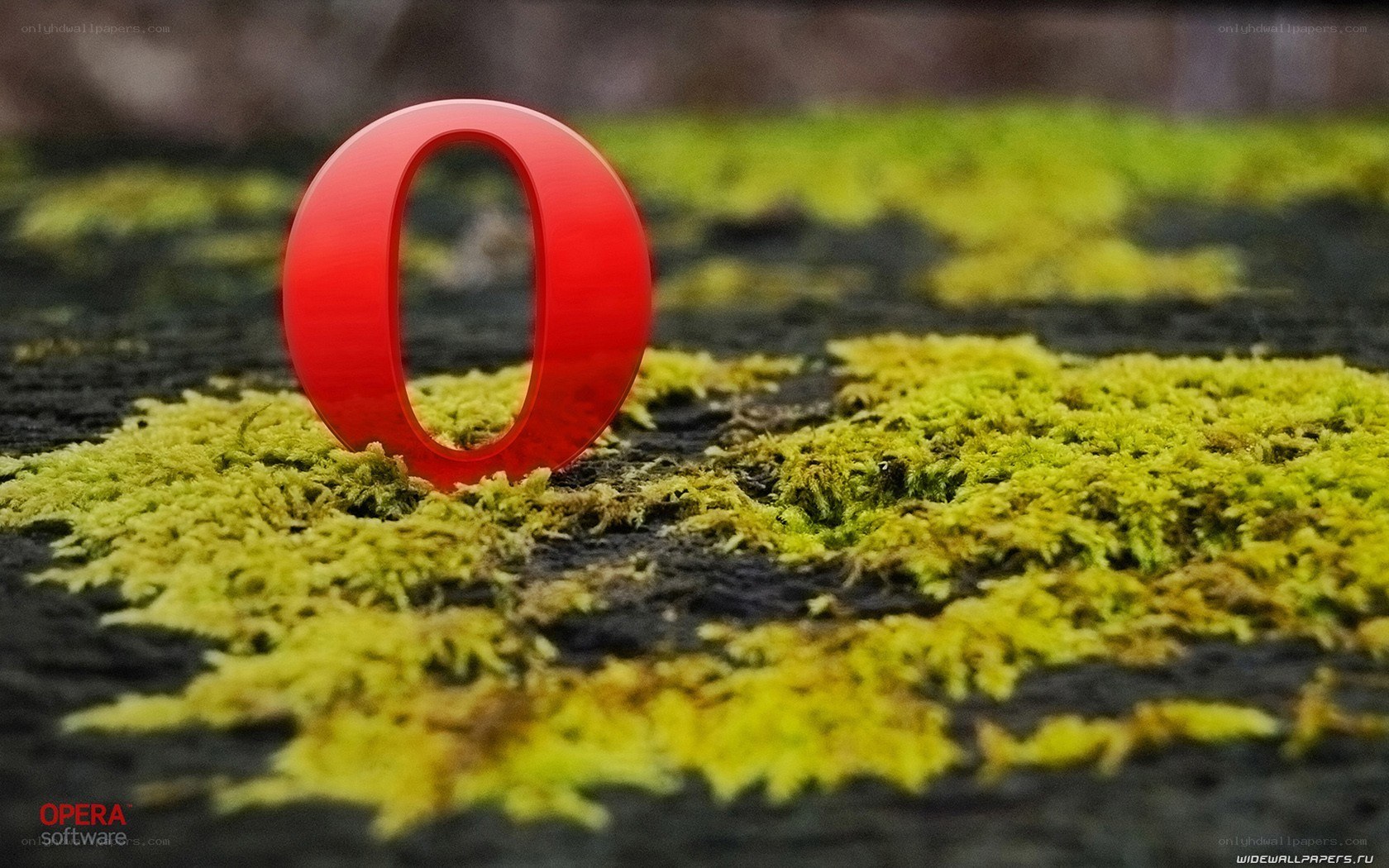 Opera logo on moss