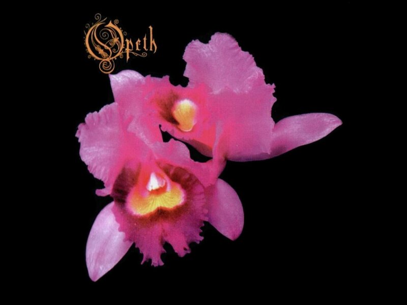 Opeth album cover with orchids