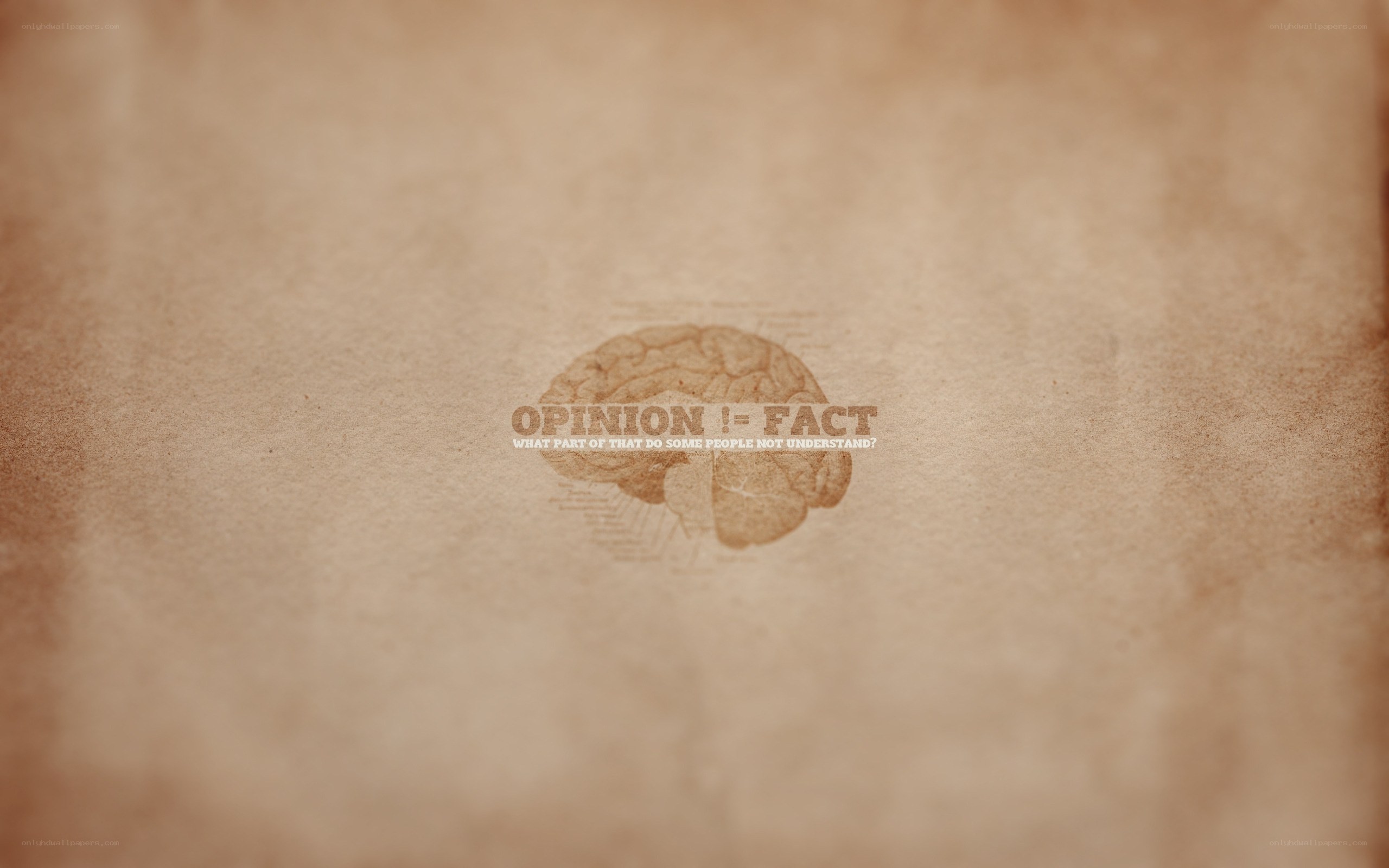 opinion equals fact