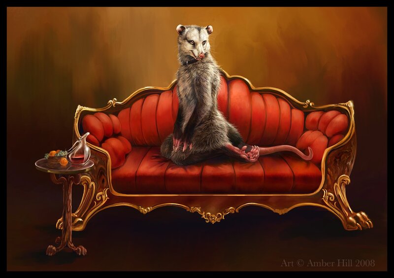 Opossum on Red Couch