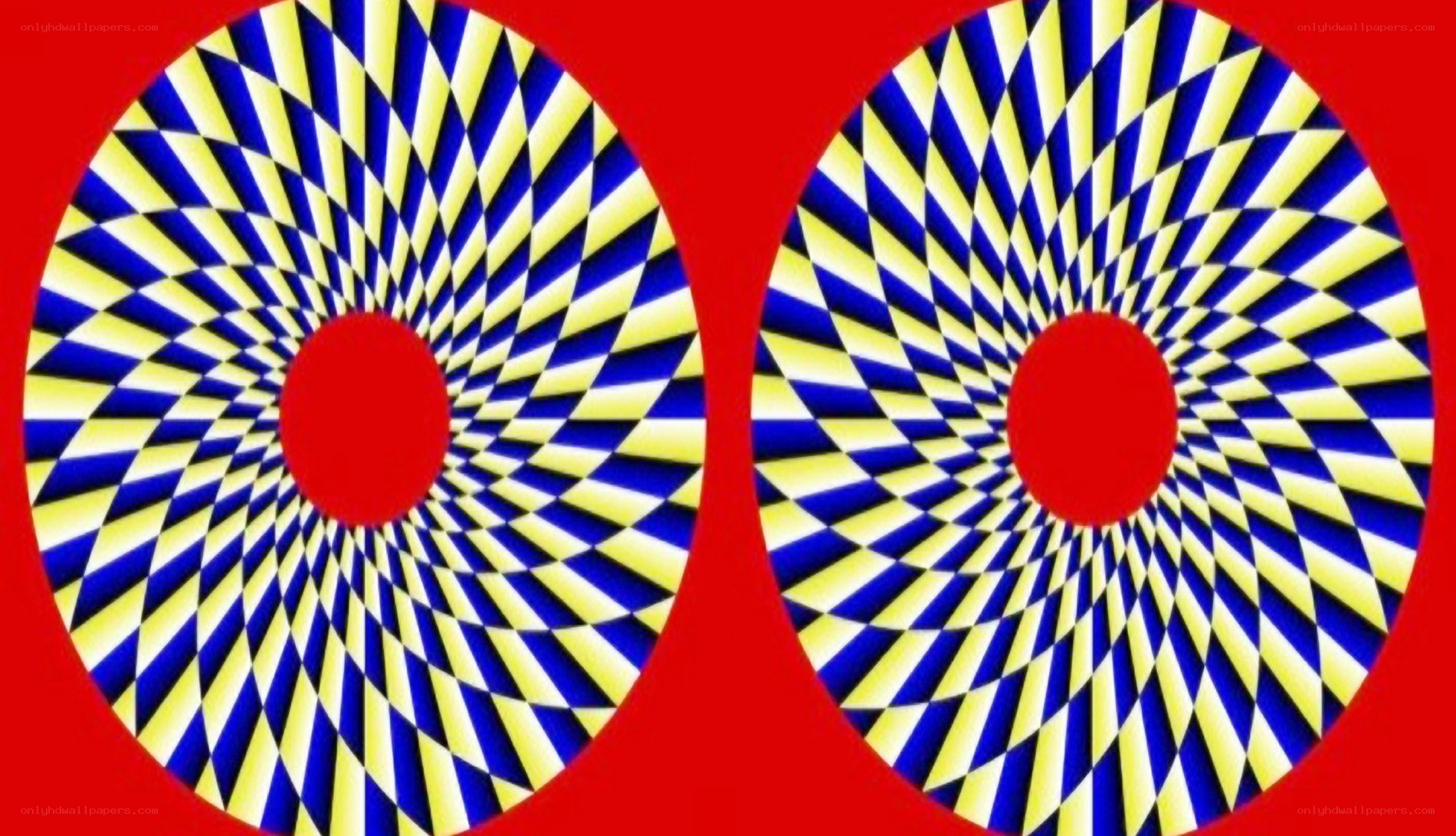 optical illusion circles