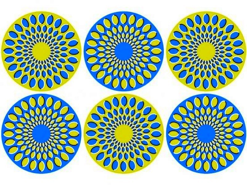 optical illusion circles