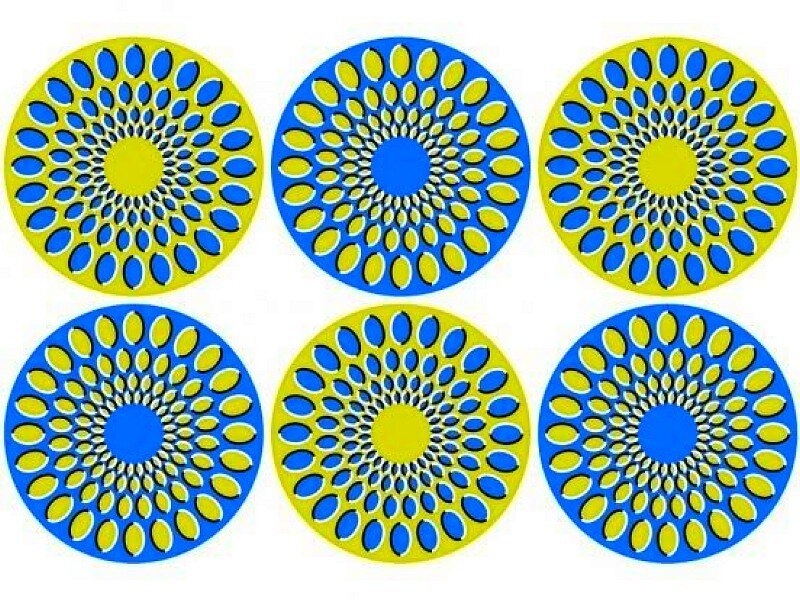 Optical Illusion Circles — Blue, Hypnotic, Abstract, Patterns, Yellow