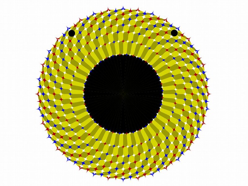 Optical Illusion Eye