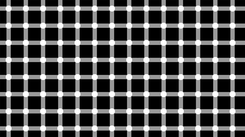 Optical Illusion Grid — Black, Neutral