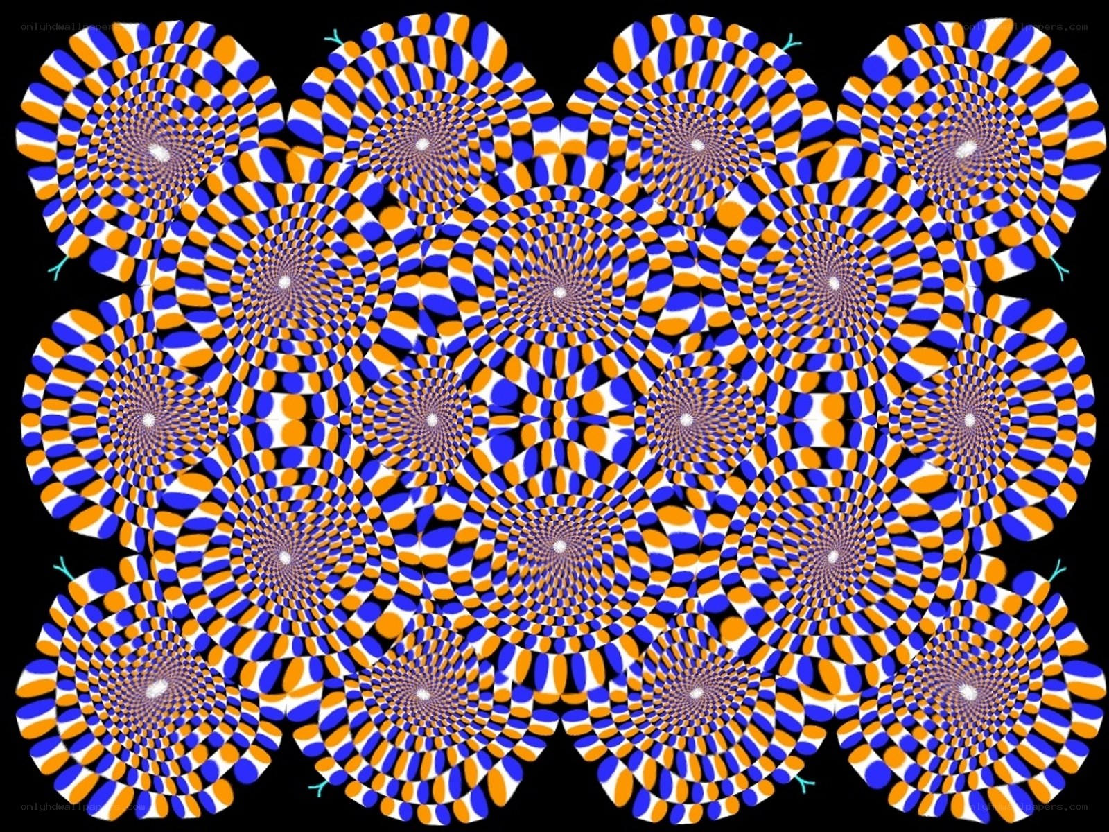 Optical illusion pattern