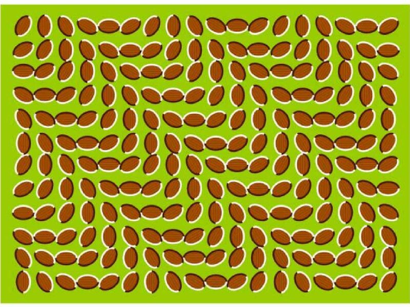 Optical Illusion Pattern — Green, Hypnotic, Illustration