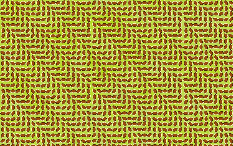 optical illusion pattern