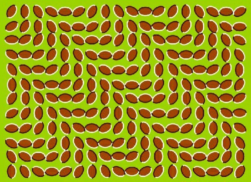 optical illusion with almonds