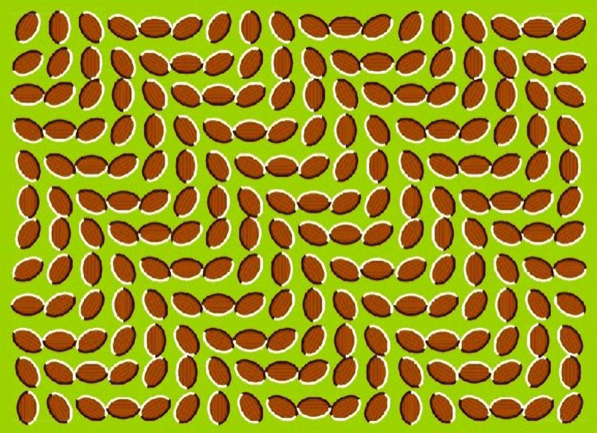 optical illusion with almonds