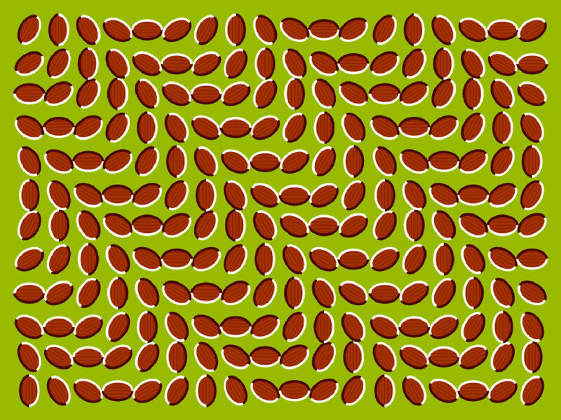 optical illusion with almonds