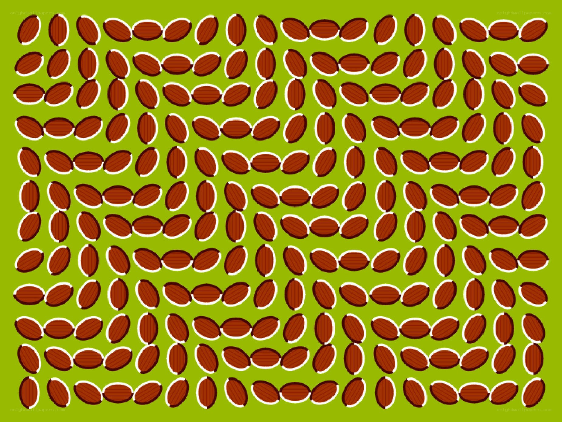 optical illusion with almonds