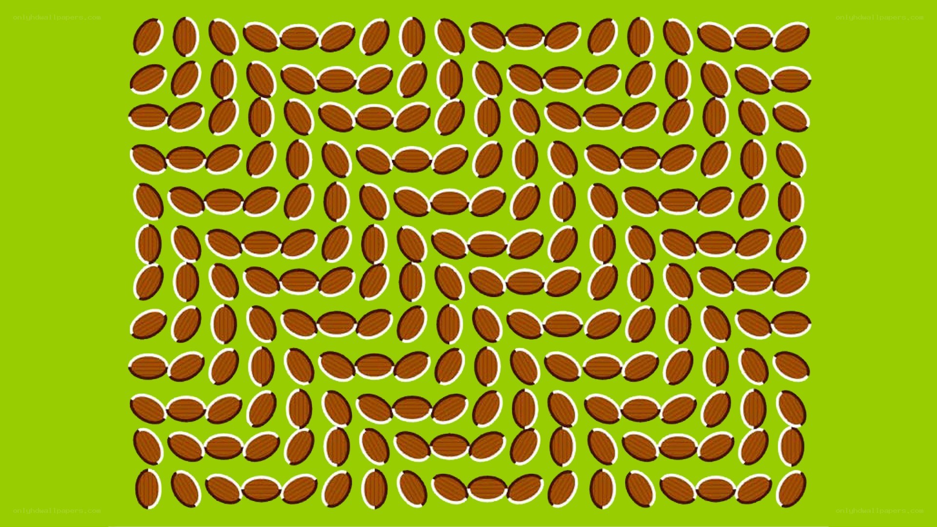 optical illusion with almonds
