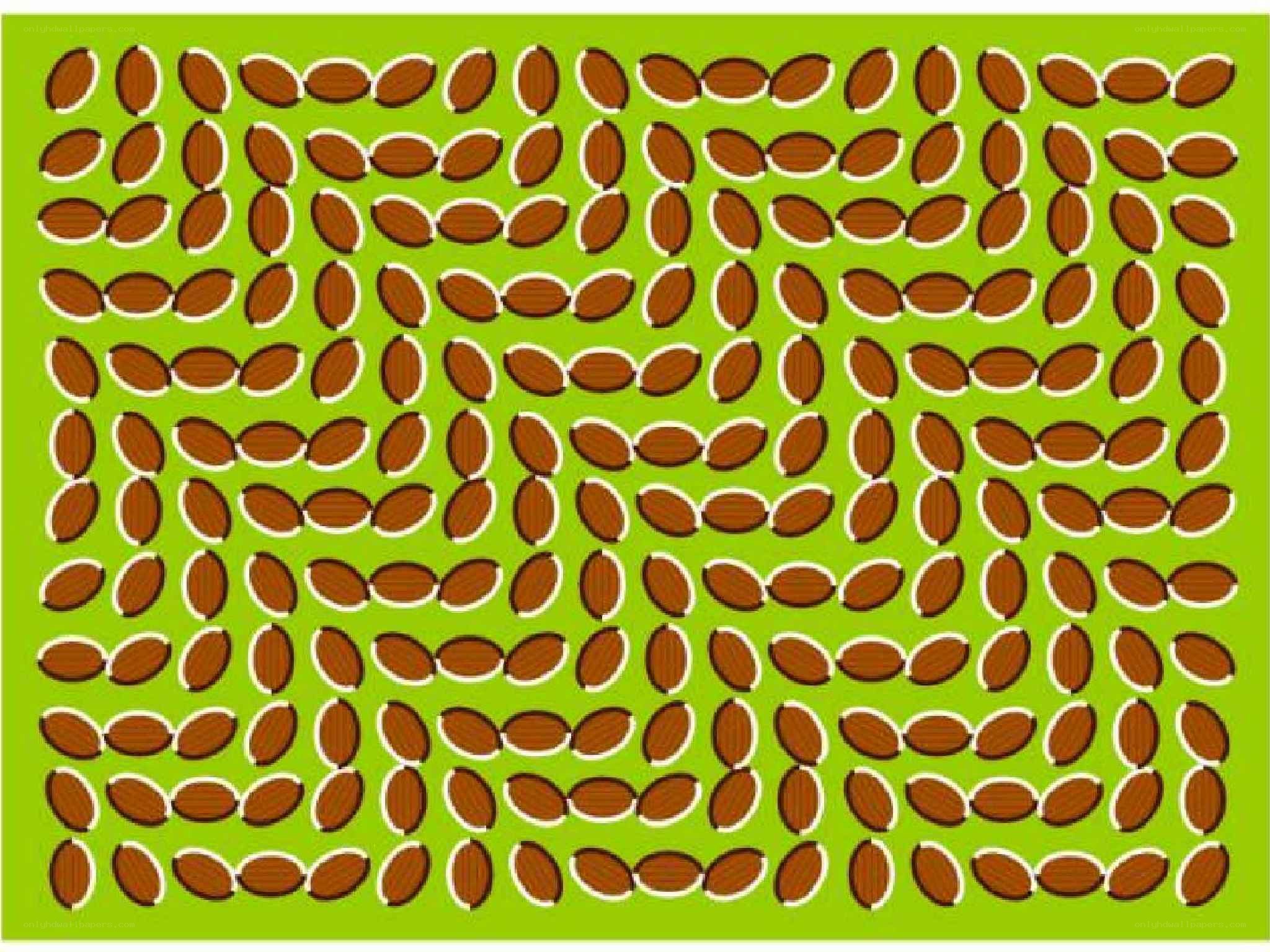 optical illusion with almonds