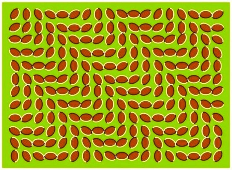optical illusion with almonds